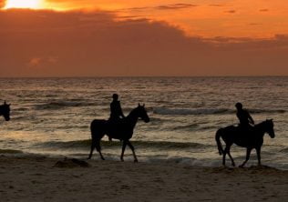 Seabrook Island Horseback on Beach