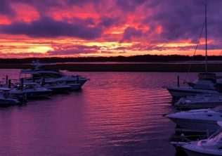 Things to Do at Bohicket Marina Bohicket Boat Club