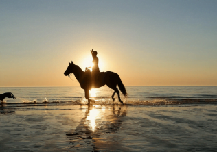Seabrook Island Equestrian Center