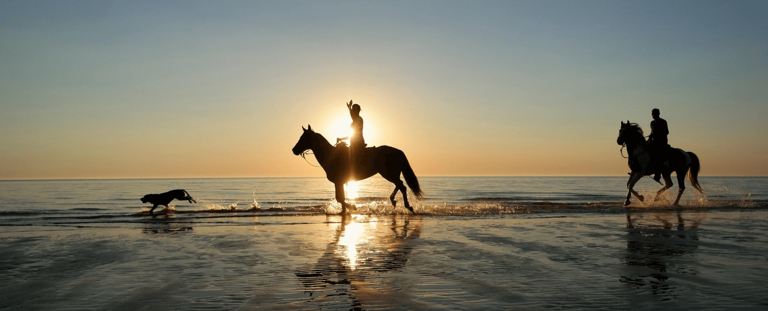 Seabrook Island Equestrian Center