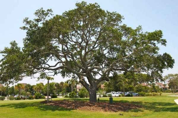 Audubon Cooperative Sanctuary Program for Golf