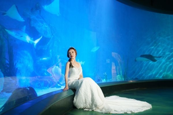 Wedding at South Carolina Aquarium