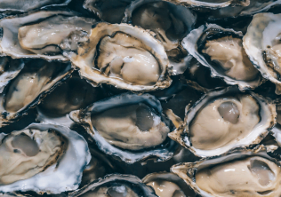 Charleston, SC Oyster Roasts