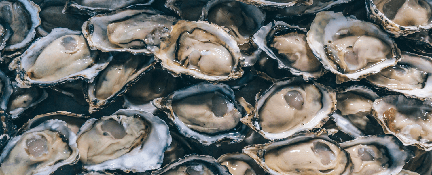 Charleston, SC Oyster Roasts