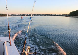Charleston Fishing Charters