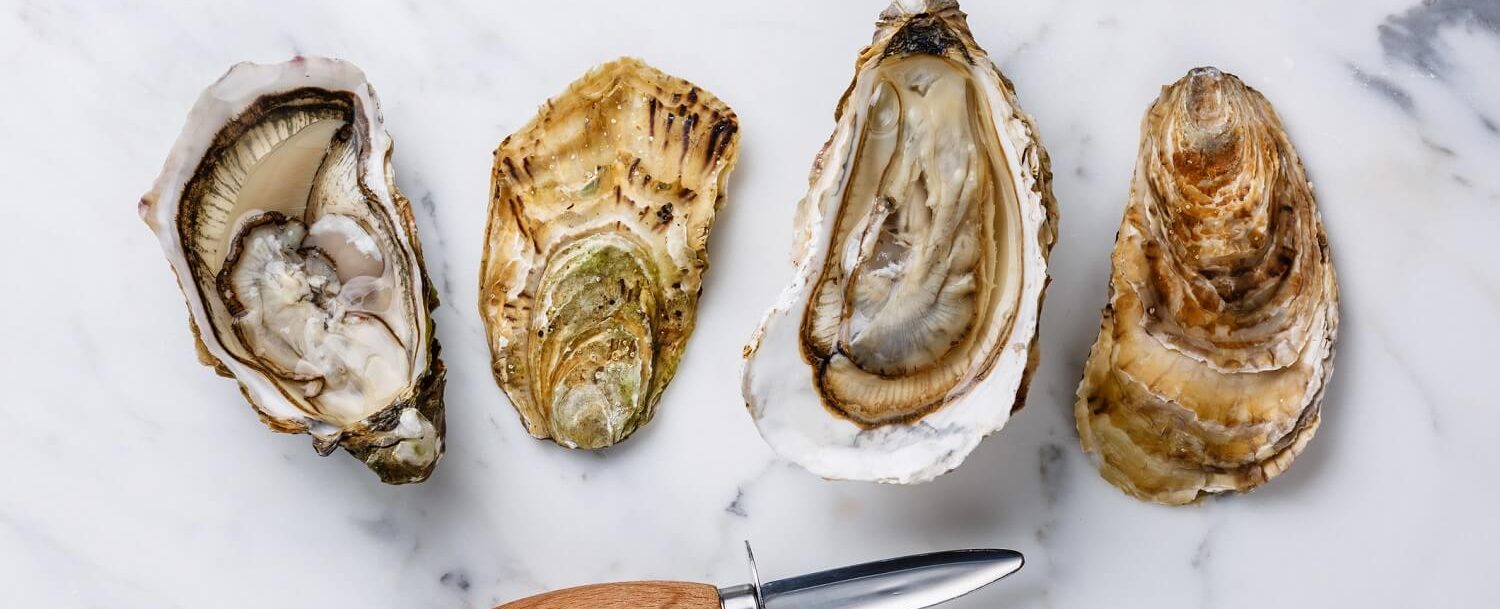 Mingo Point Oyster Roast