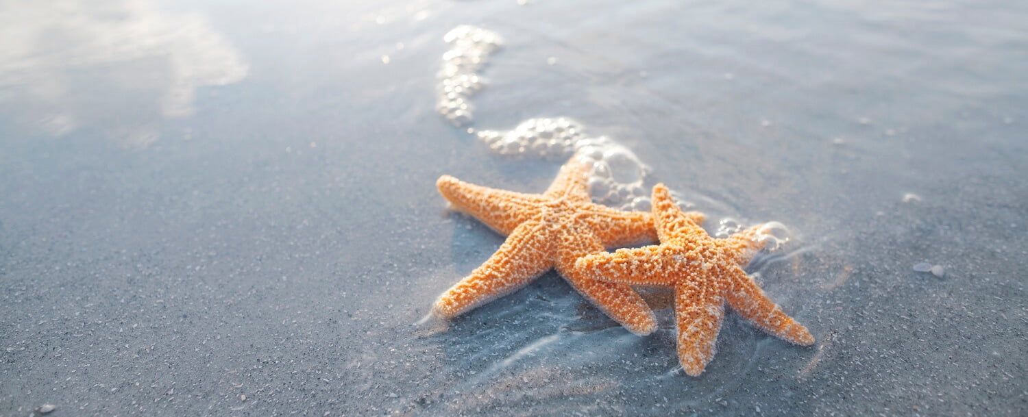 Seabrook Island vs Isle of Palms Beach