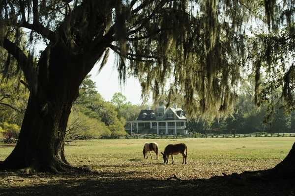 Magnolia Plantation Charleston Historic House Tour