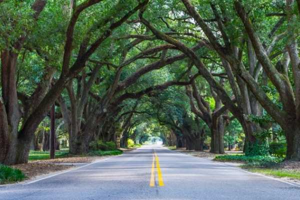 Kiawah Island to Charleston Route