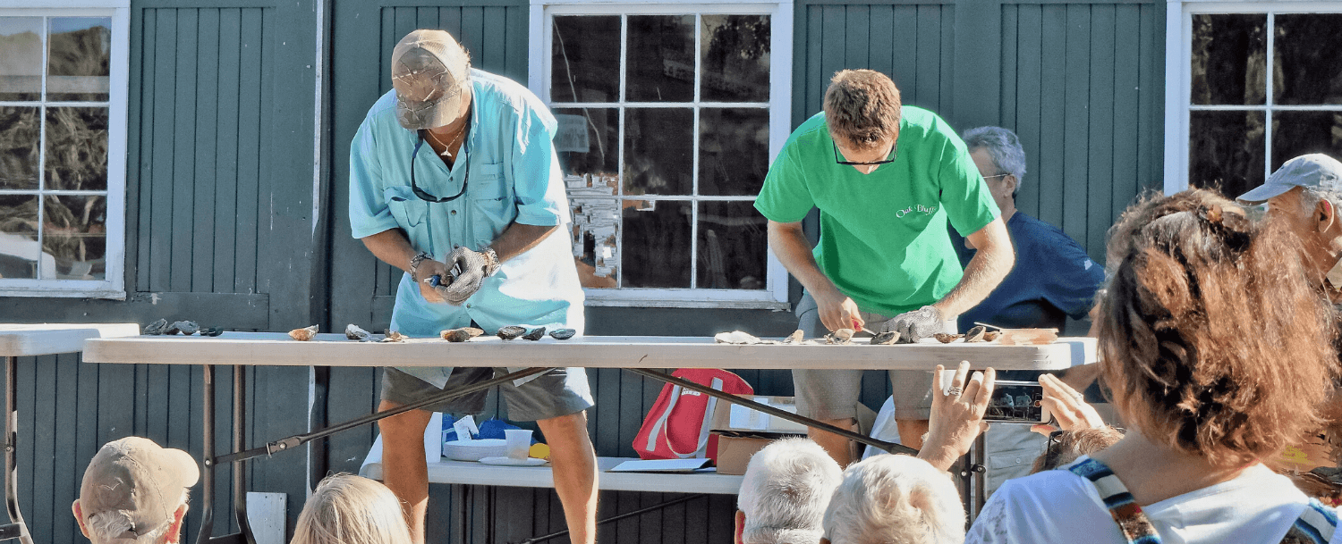 Oysters Event in February Charleston
