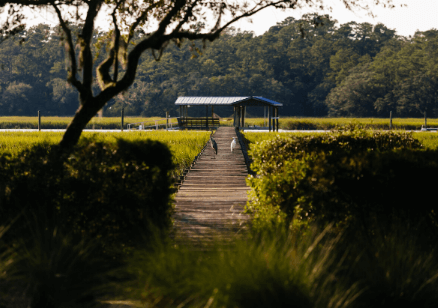 Real Estate Dock