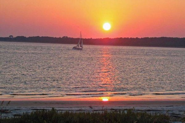 Lowcountry Marine Mammal Network 