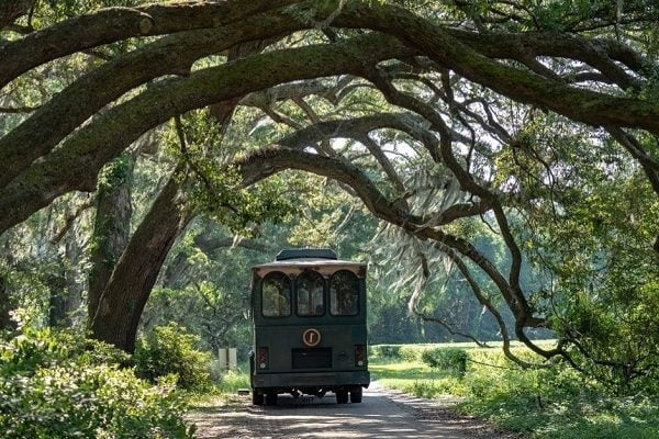 Charleston Tea Plantation Historical Site