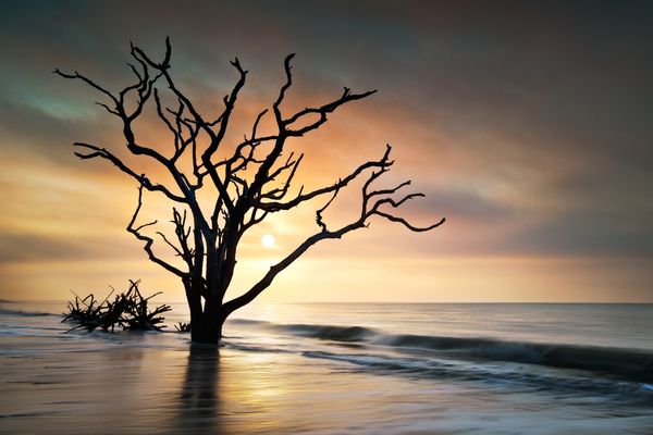 Botany Bay Edisto