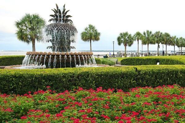 March Blooming in Charleston