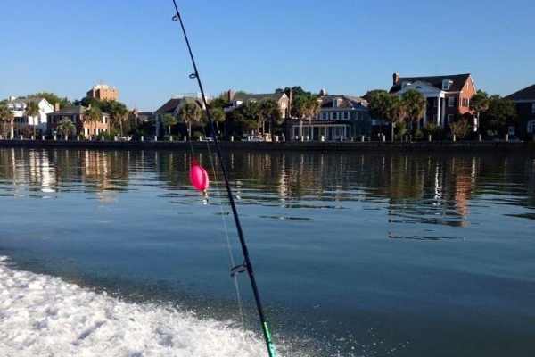 Charleston Battery from the Water