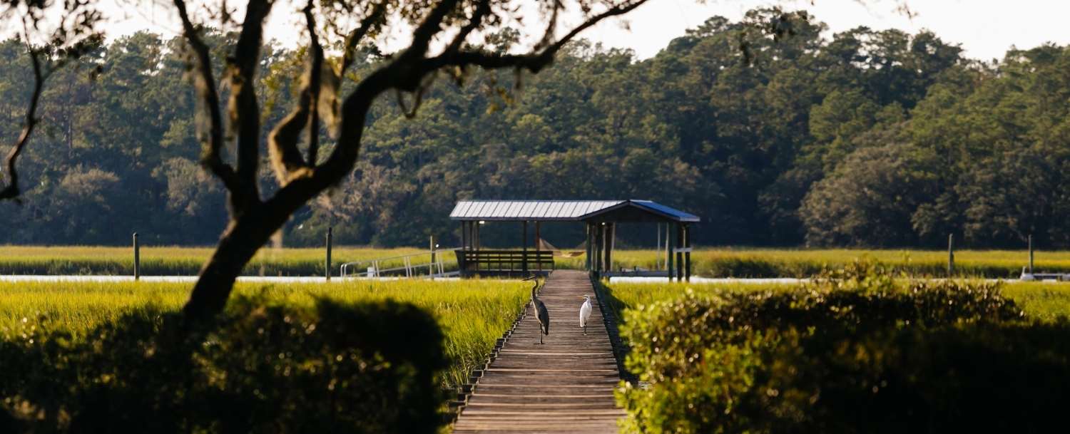 Waterfront Homes for sale in Charleston SC