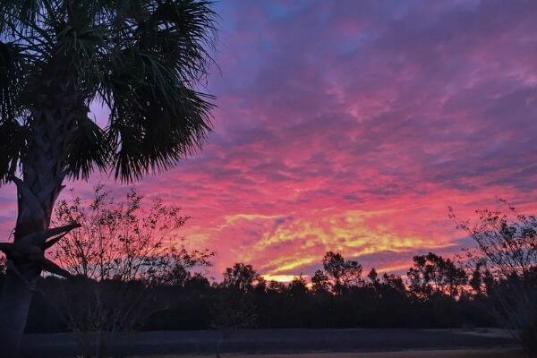 Johns Island Sunset 