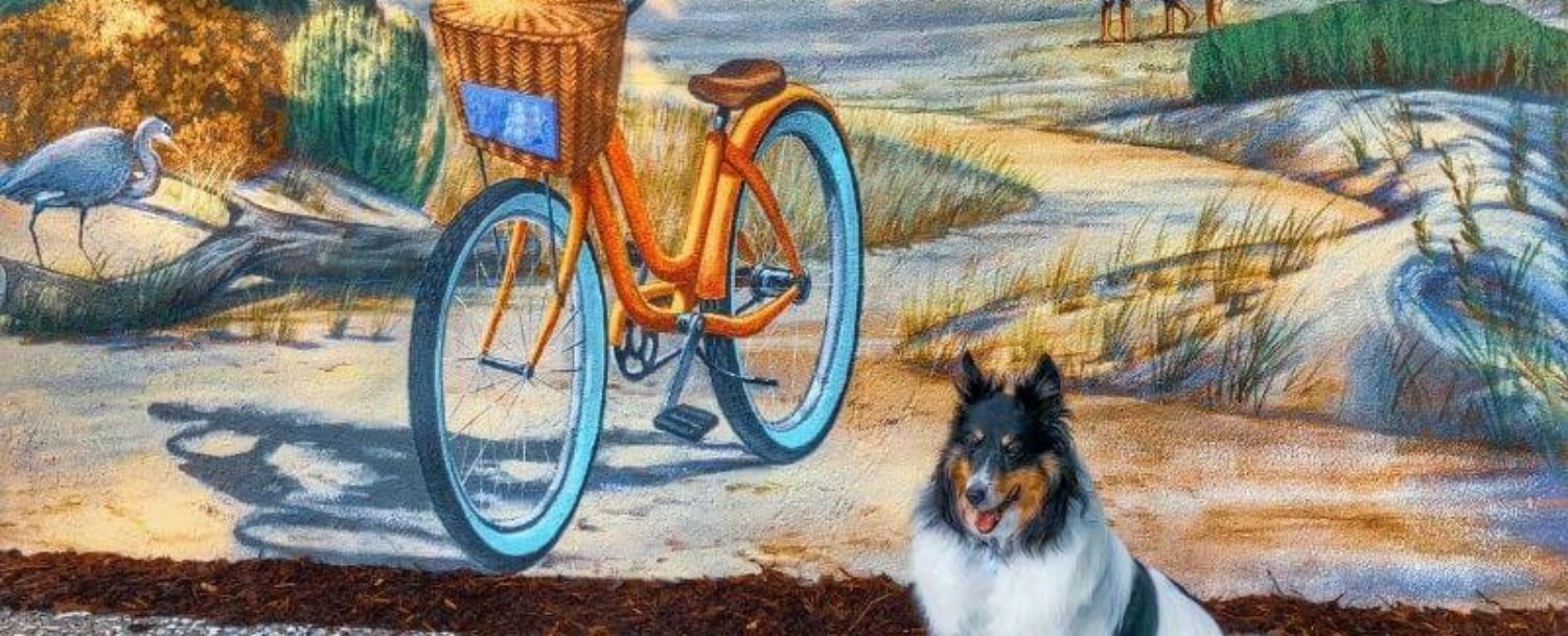 Kiawah, Seabrook, Charleston Events