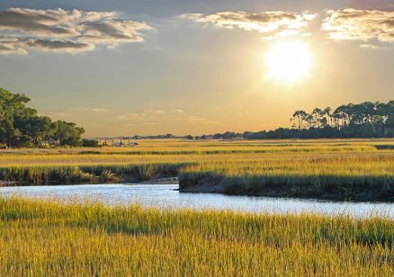 Neighborhoods in Johns Island