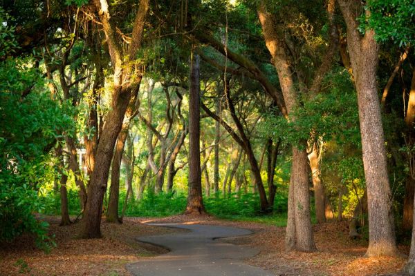 Kiawah Island Bike Trails near Charleston SC
