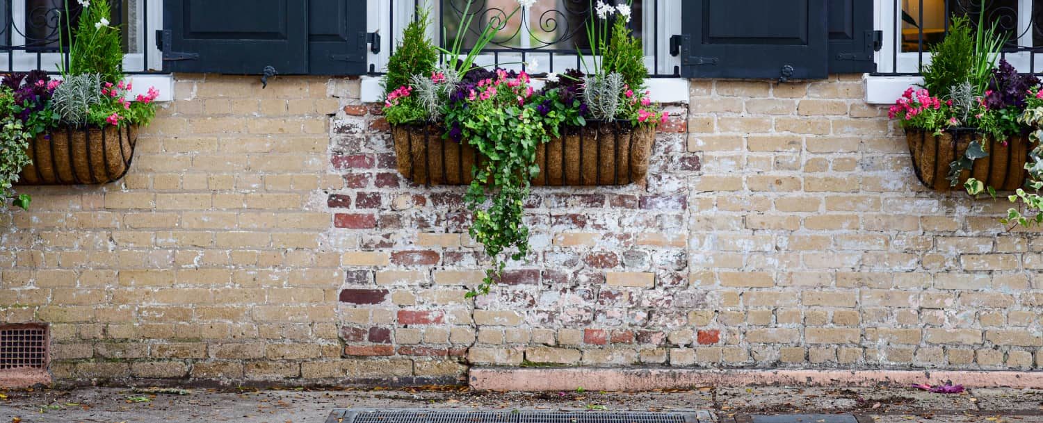 Wraggborough Mazyck Charleston SC