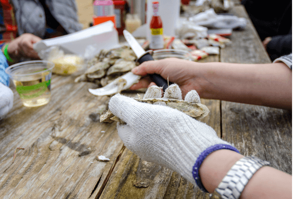 Lowcountry Oyster Festival