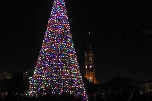 Charleston Tree Lighting