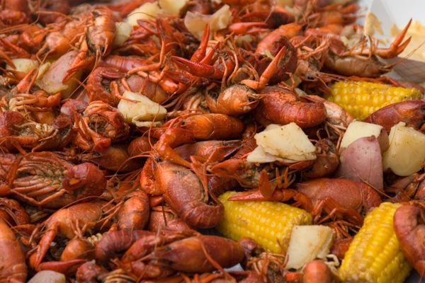 Lowcountry Cajun Festival Charleston Event
