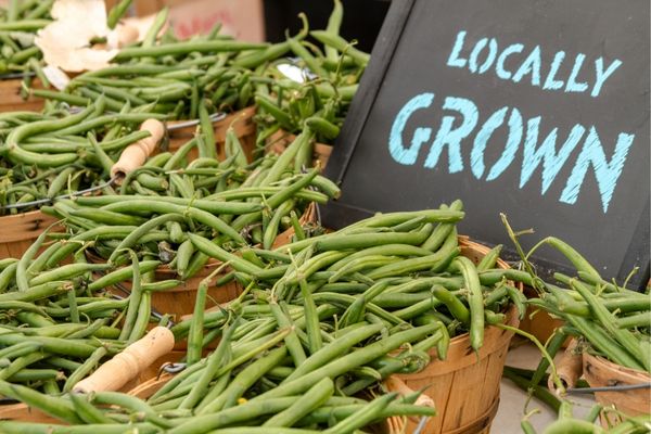 Charleston Farmers Market August Event