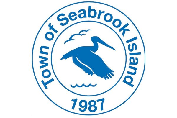 Town of Seabrook Logo