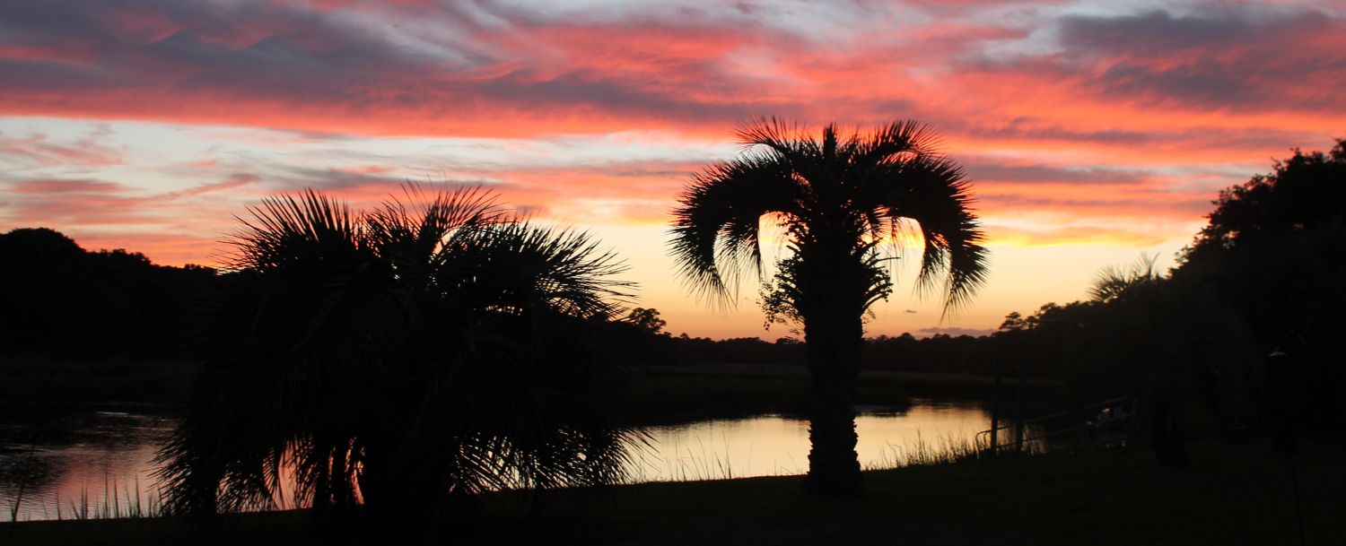 Sea Island Preserve Johns Island Real Estate