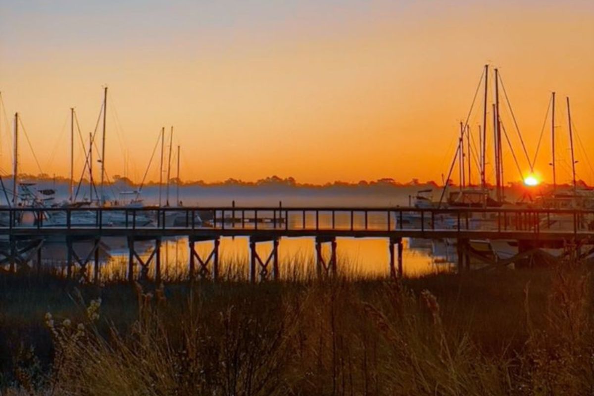 Morning at Headquarters Johns Island