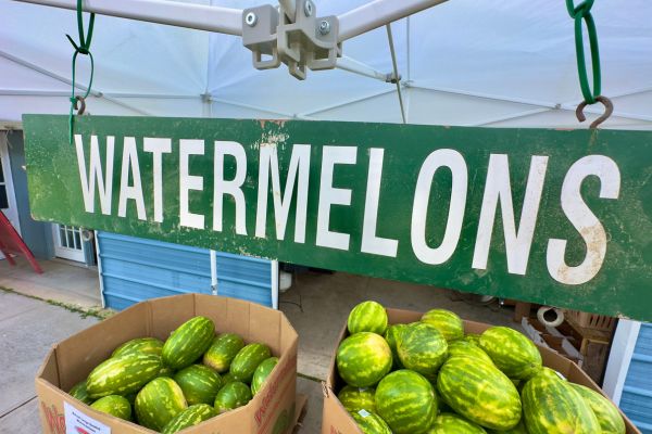 Marion Square Charleston SC Park