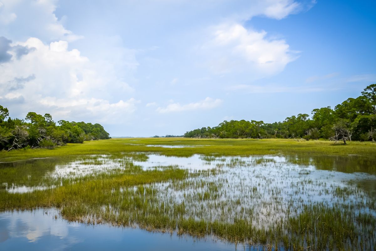 Bridge to Terrapin Island in The Preserve Kiawah Island