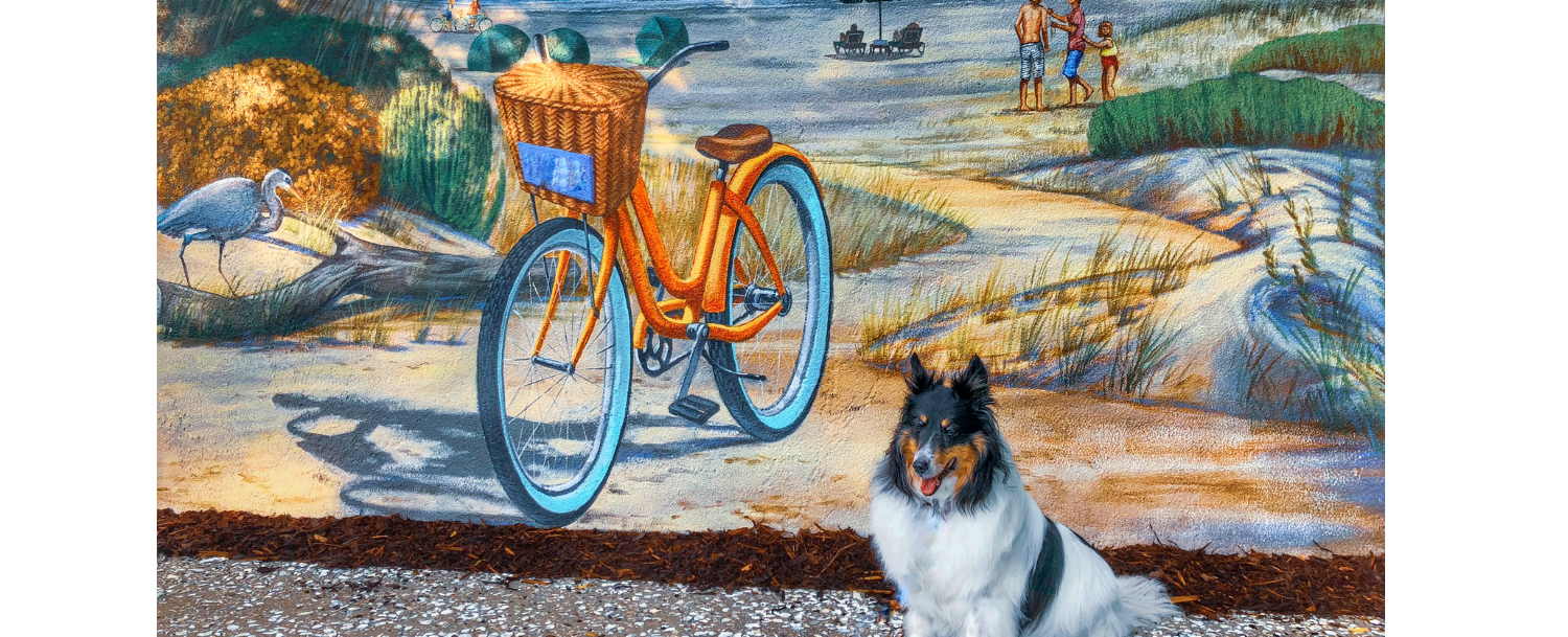 Dog services Kiawah Island